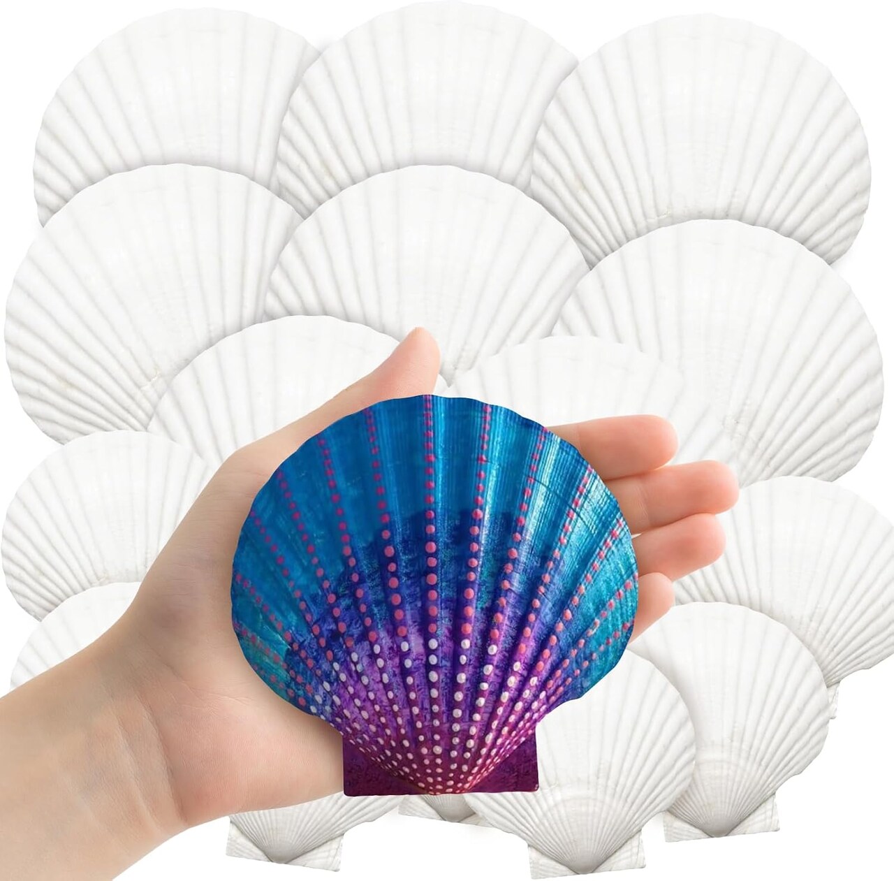 18PCS Large Natural Scallop Shells,4''-5'' White Seashells Bulk for Crafts DIY Painting Baking and Ocean Summer